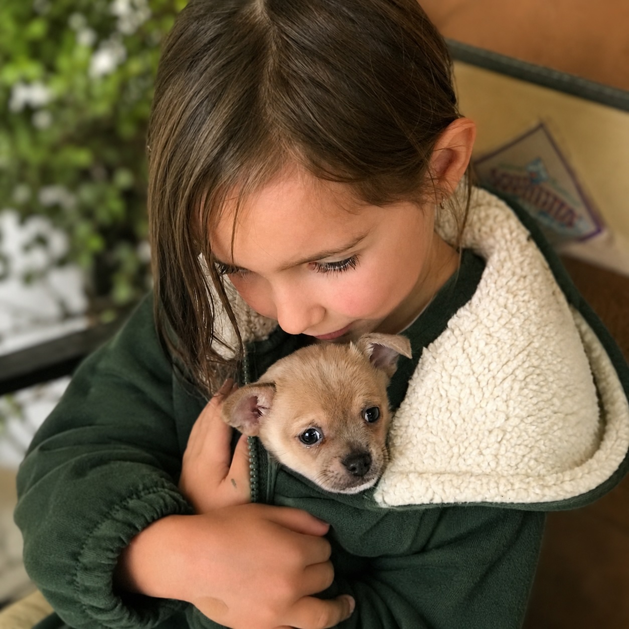 How Time With Your Dog May Support Oxytocin, Connection and Wellbeing
